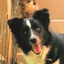 Lula Belle was adopted in June, 2004